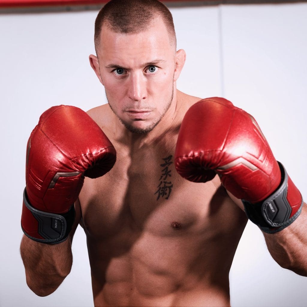 Hayabusa - Iron Man Boxing Gloves - Image 3