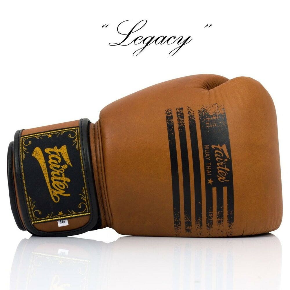 Fairtex BGV21 Legacy Boxing Gloves - Image 2