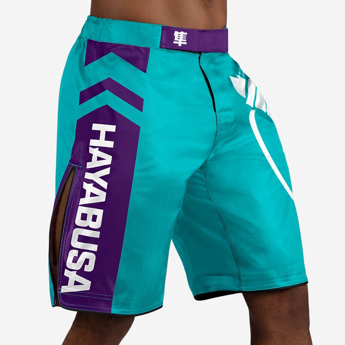 Hayabusa Icon Fight Shorts - Multiple Colours - Image 9