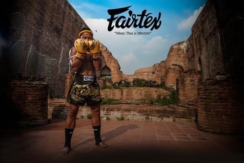 Fairtex BGV1 Falcon Limited Edition Gloves - Image 3