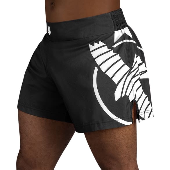 Hayabusa Icon Kickboxing Shorts - Multiple Colours - Image 2