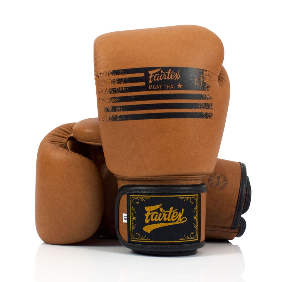 Fairtex BGV21 Legacy Boxing Gloves