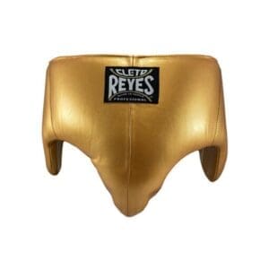 Cleto Reyes Kidney and Foul Protection Cup - Multiple Colours