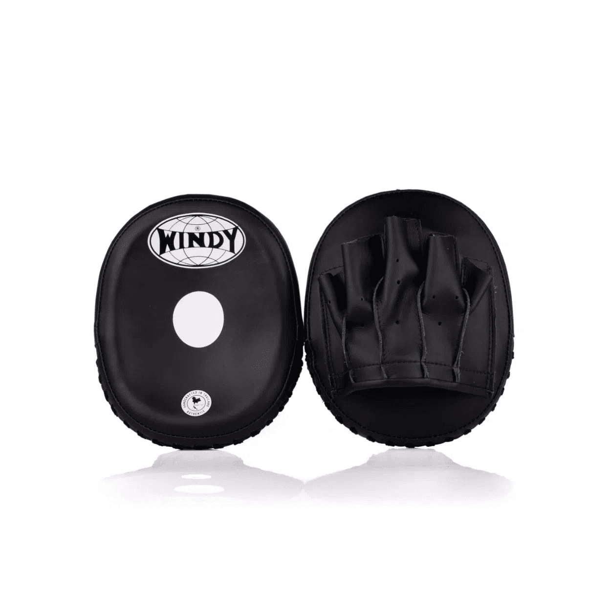 Windy PP11 Pro Focus Mitts