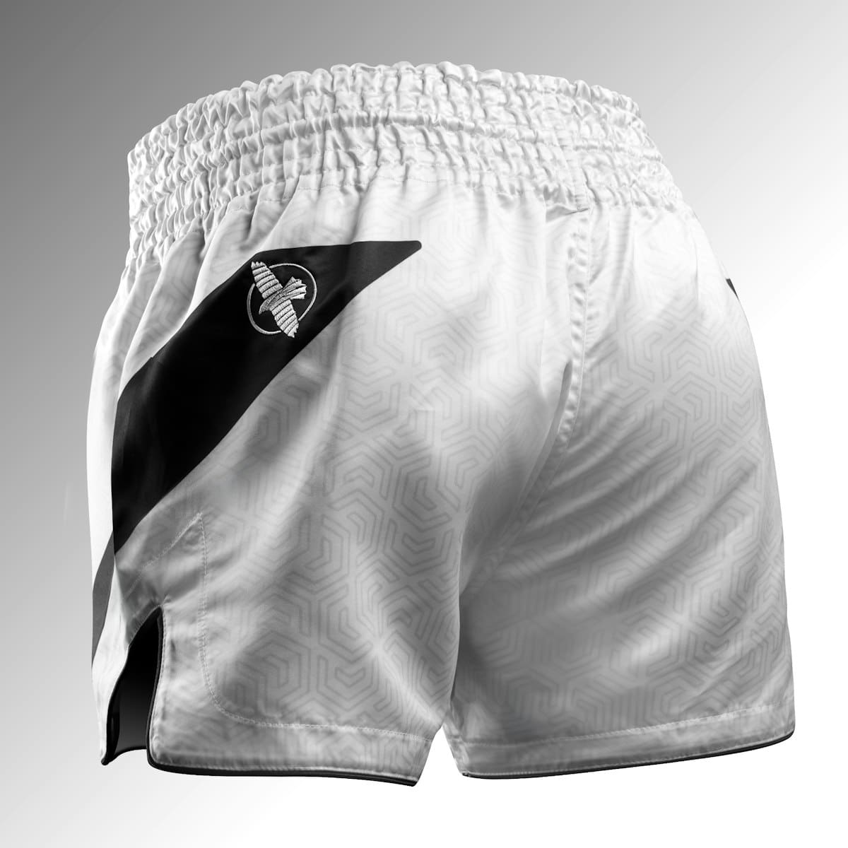Hayabusa Core Muay Thai Shorts - Multiple Colours - Image 5